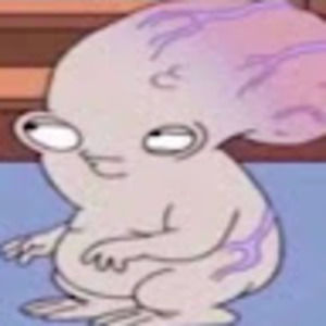 Meet your Posher, Wyatt